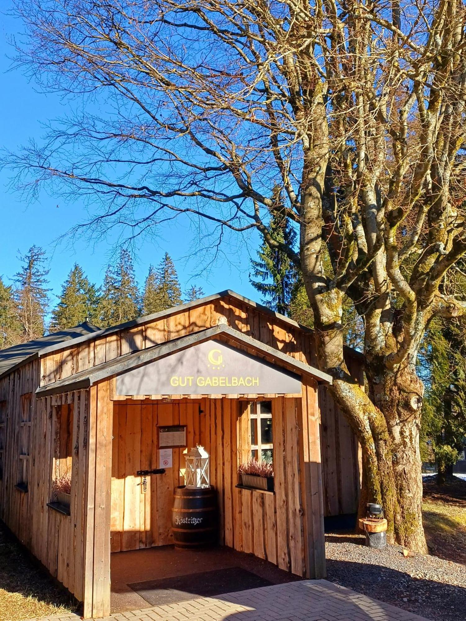 Berg & Spa Hotel Gabelbach 伊尔梅瑙 外观 照片